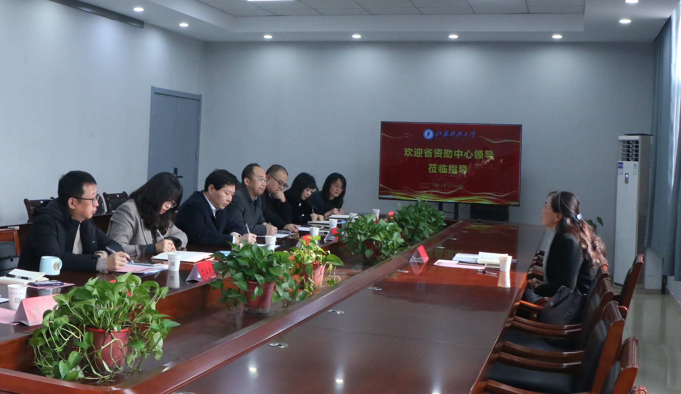 1734226798623237.png 全3.png