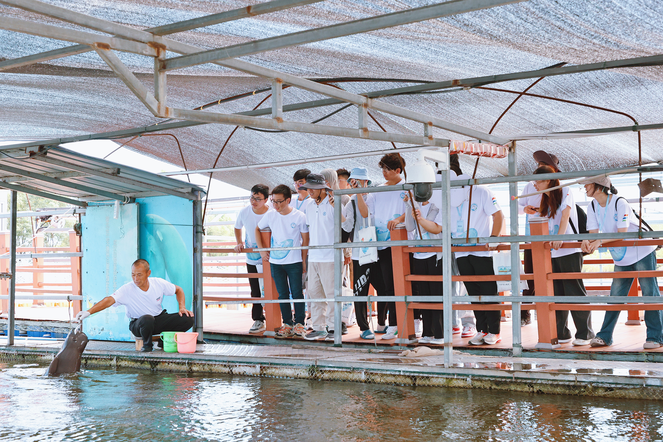 1722648862418844.jpg 06.jpg