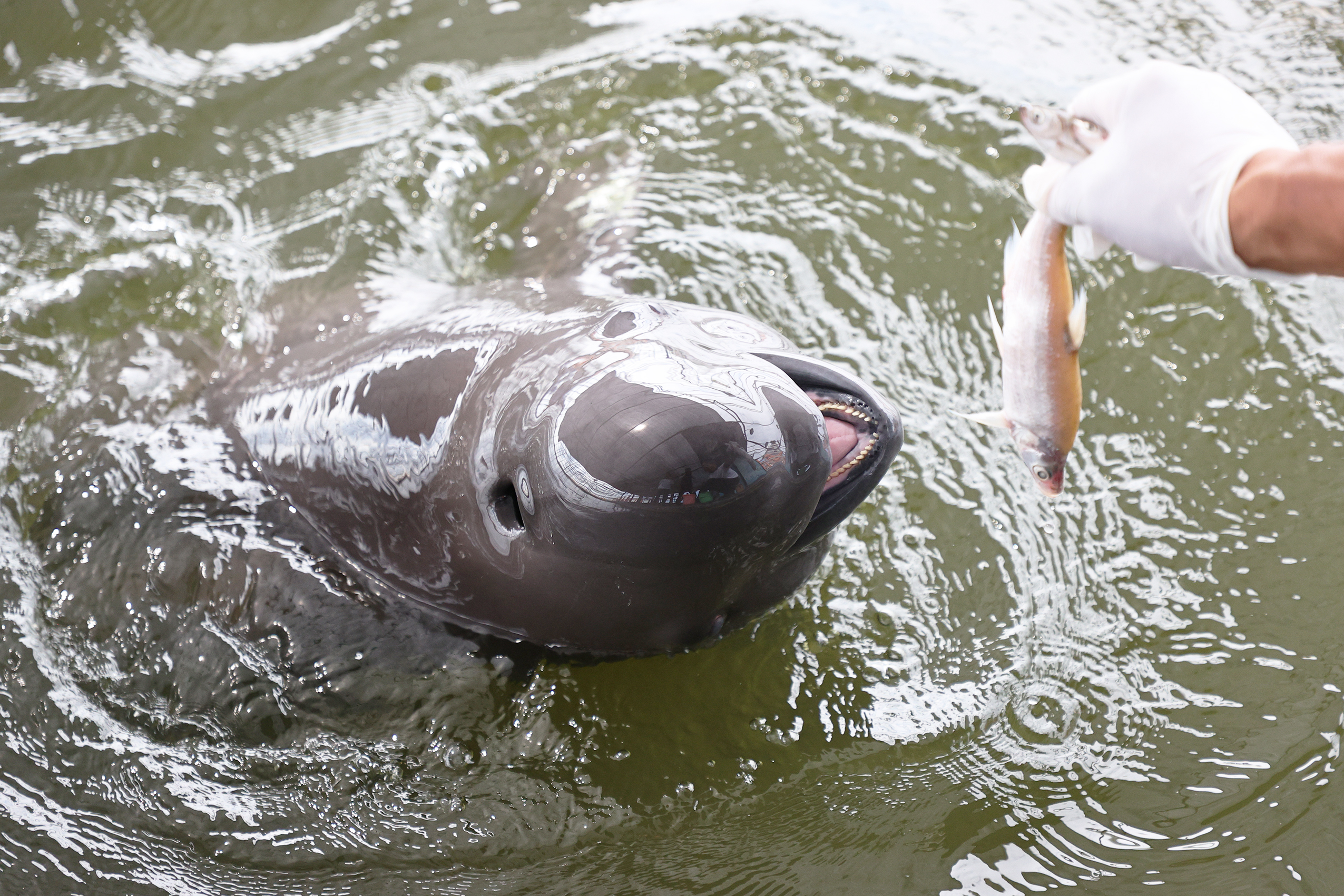 1722649139776413.jpg 08.jpg